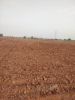 Picture of Agriculture land for sale at Dhone in Kurnool dist-Andhra Pradesh