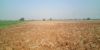 Picture of Agriculture land for sale at Dhone in Kurnool dist-Andhra Pradesh