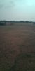 Picture of Agriculture land for sale at Dhone in Kurnool dist-Andhra Pradesh