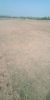 Picture of Agriculture land for sale at Dhone in Kurnool dist-Andhra Pradesh