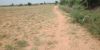 Picture of Agriculture land for sale at Dhone in Kurnool dist-Andhra Pradesh