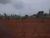 Picture of Luxury 1 Acre Farmhouse Land for Sale in SHAMASHABAD