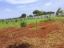 Picture of Luxury 1 Acre Farmhouse Land for Sale in SHAMASHABAD