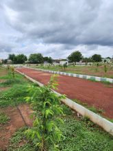 Picture of Open Land for Sale at Digwal Hyderabad