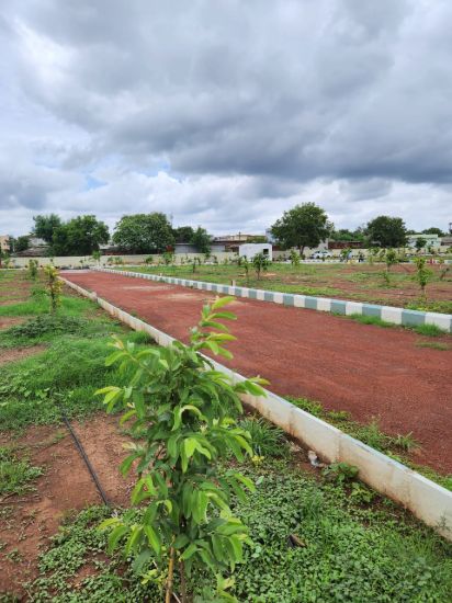 Picture of Open Land for Sale at Digwal Hyderabad