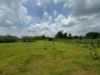 Picture of Open Plot for sale at Polepally, Jadcherla 